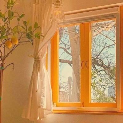 中欧体育登录截图