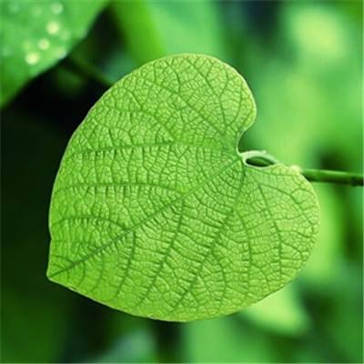 半岛官方网站入口下载